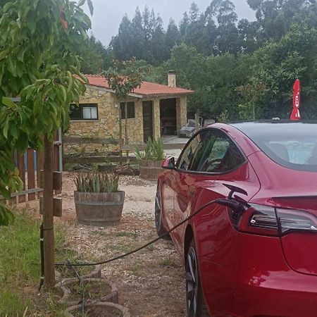Villa Quintinha Do Casal Ruivo Figueiro Dos Vinhos Esterno foto